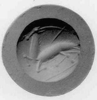 Collapsing Ibex (gem)