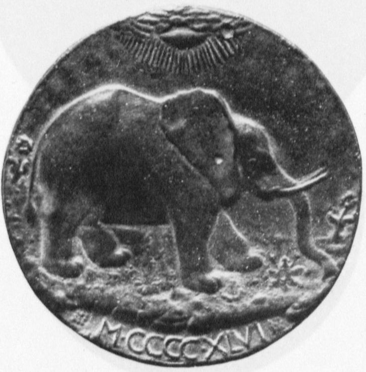 Elefant zwischen Rosenbüschen (zu R-05138)