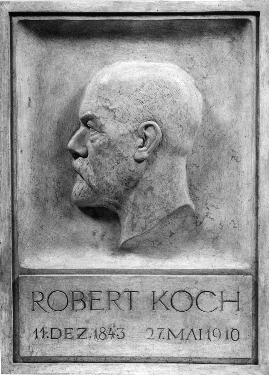 Robert Koch