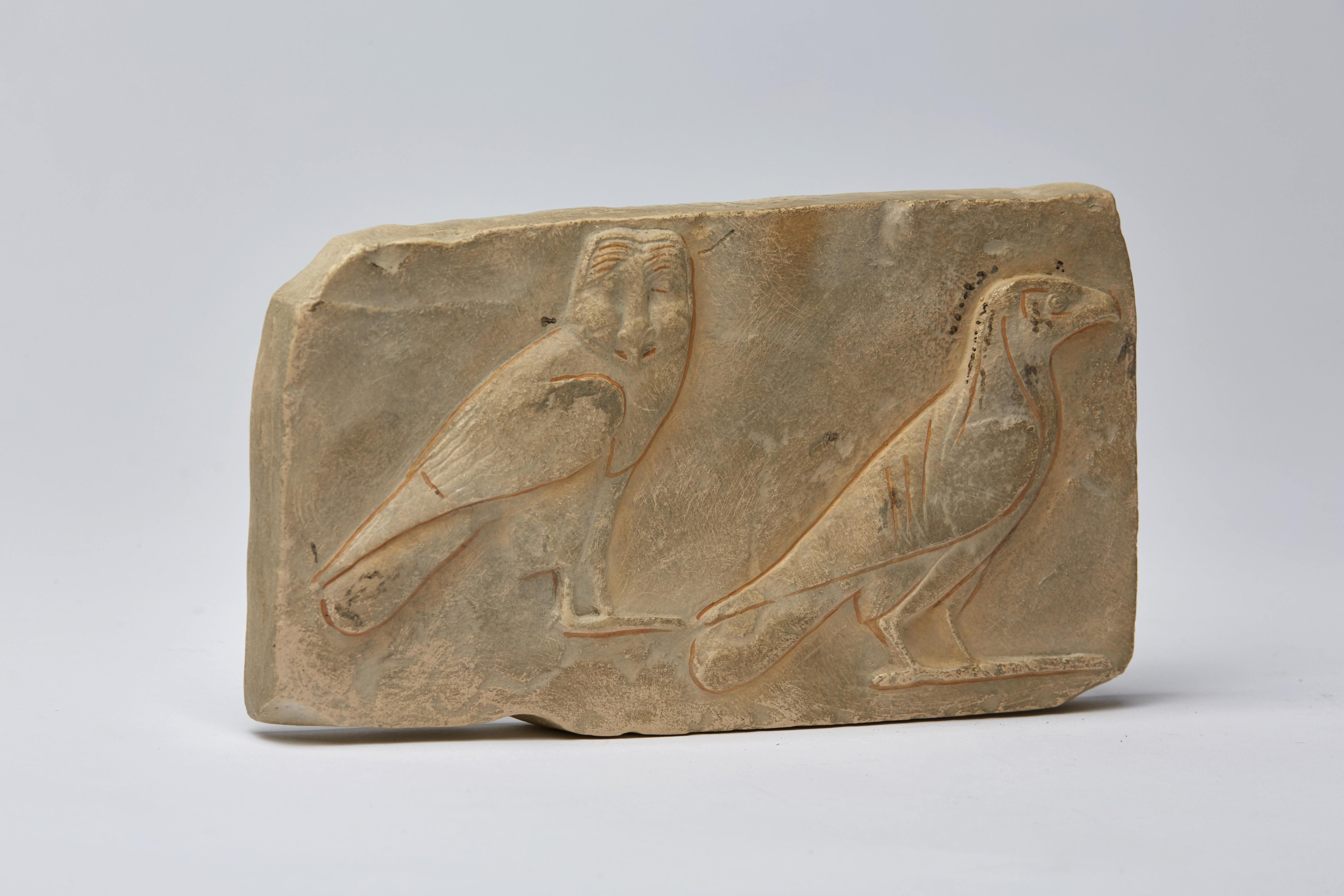 Eule und Geier (von R-00570)