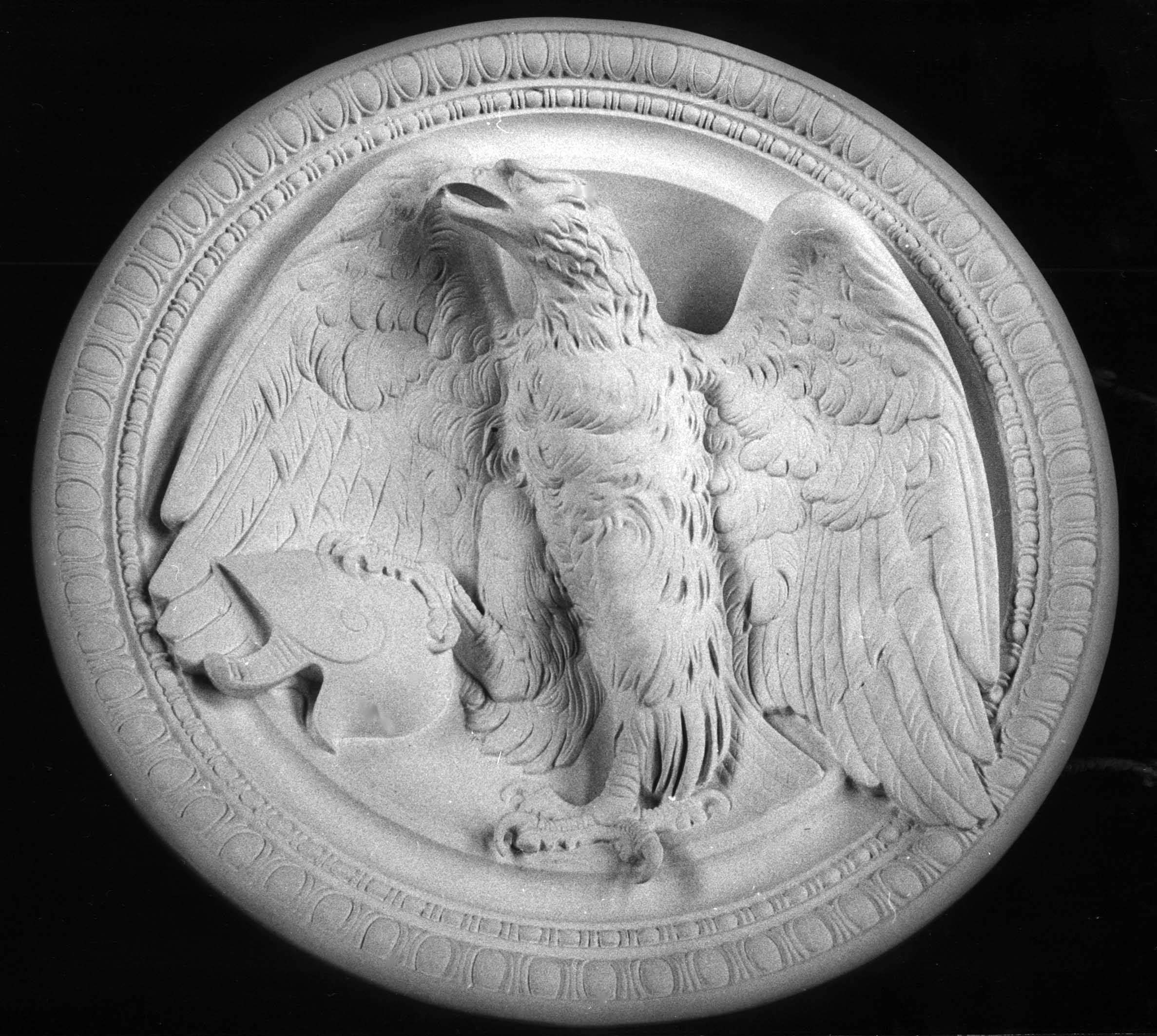 Adler mit Helm