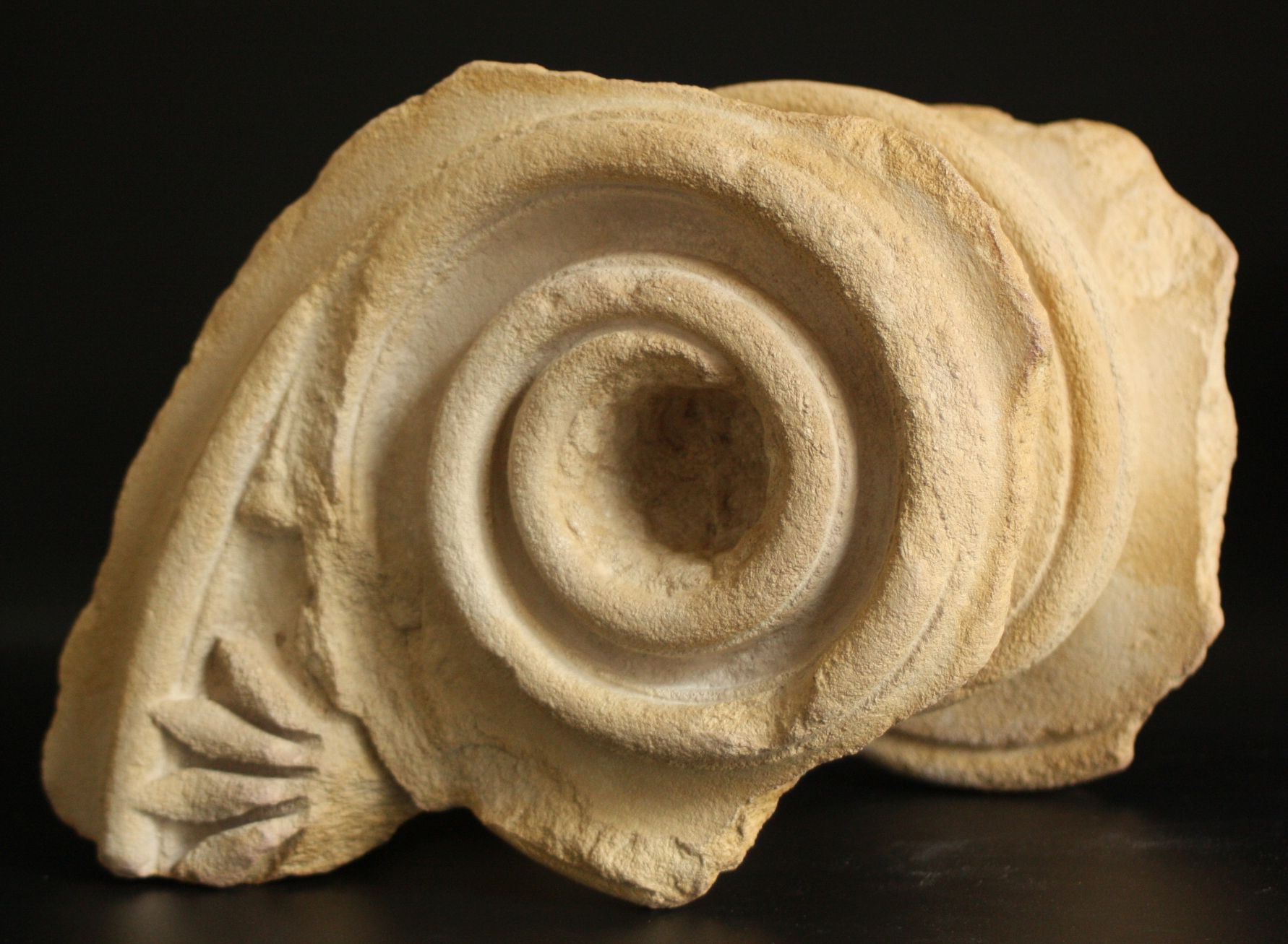 Fragment einer Volute
