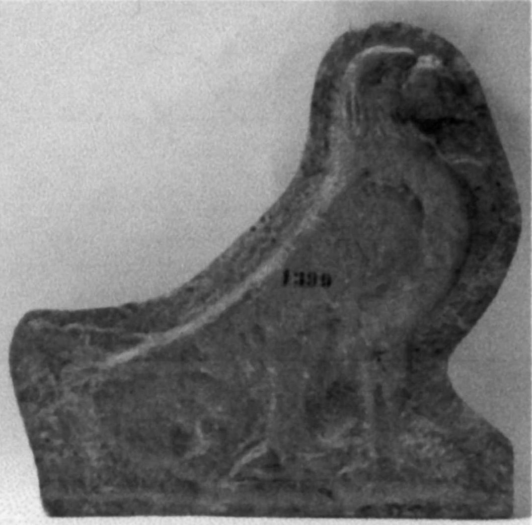 Adler des Zeus Olympios