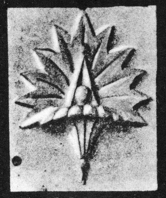 Kelchblume mit Palmetten und Ranken (Unterrichtsvorlage)