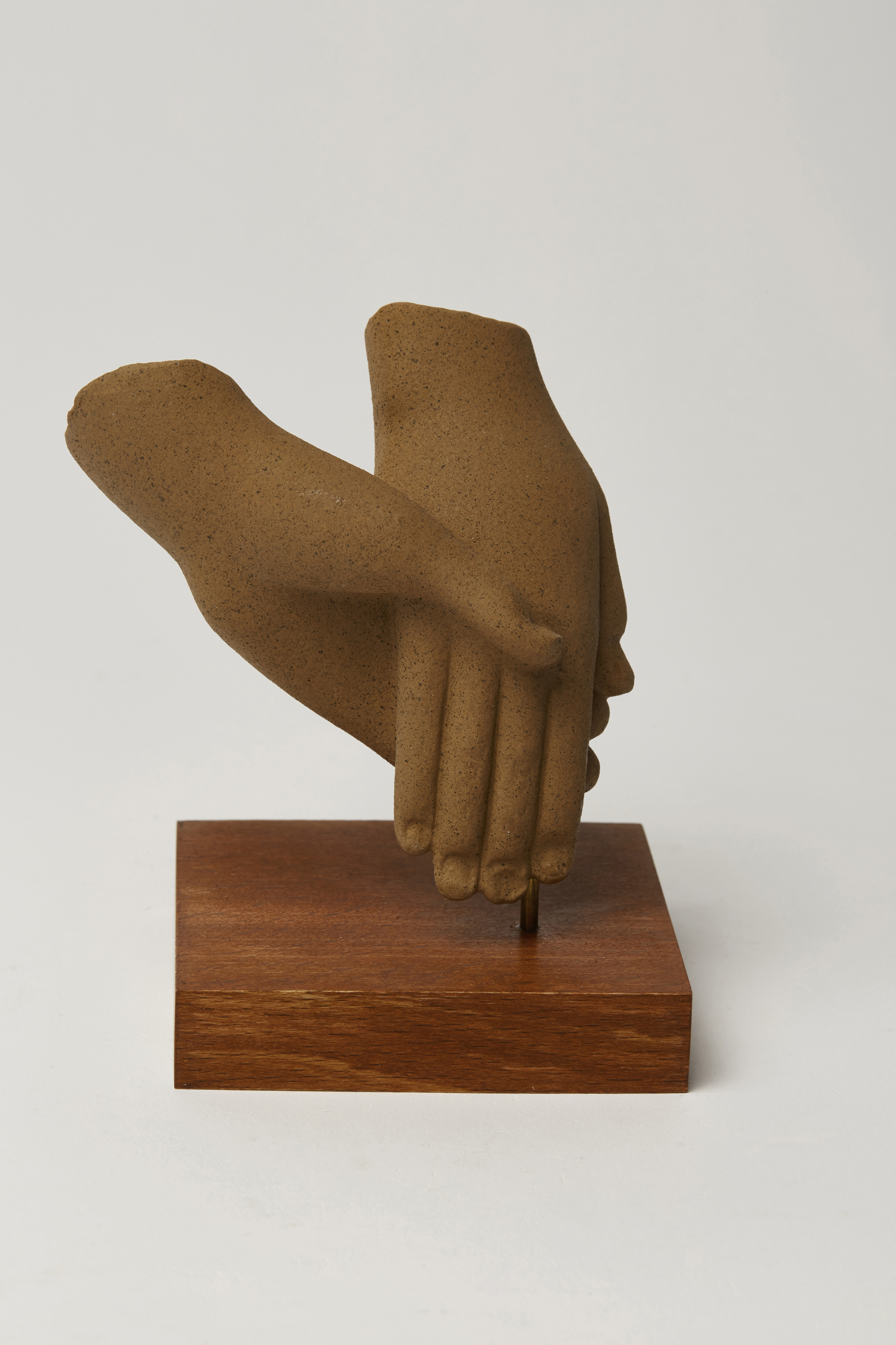 Clasped Hands of a Double-Statue