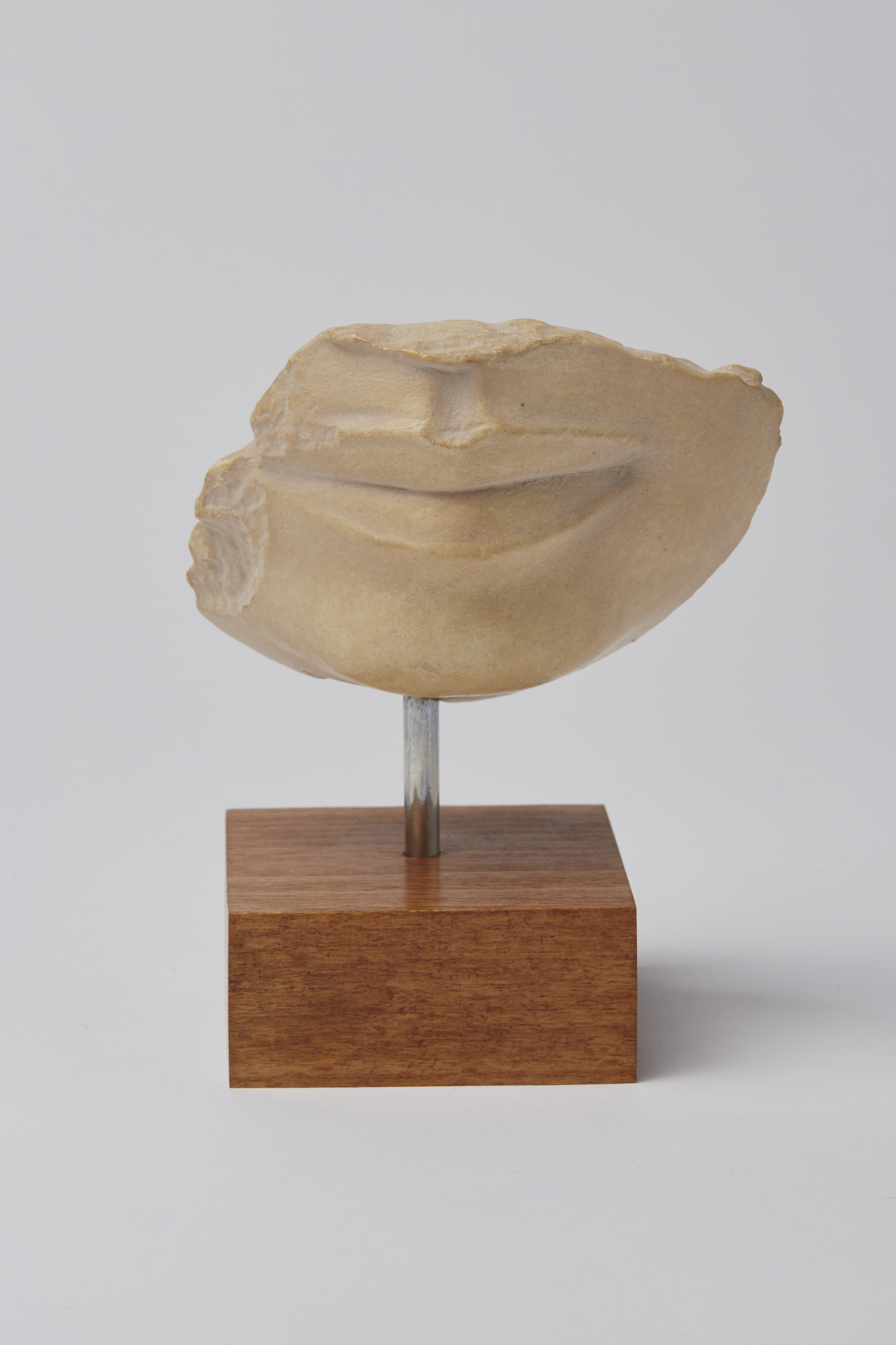 Mund mit Kinn, Fragment