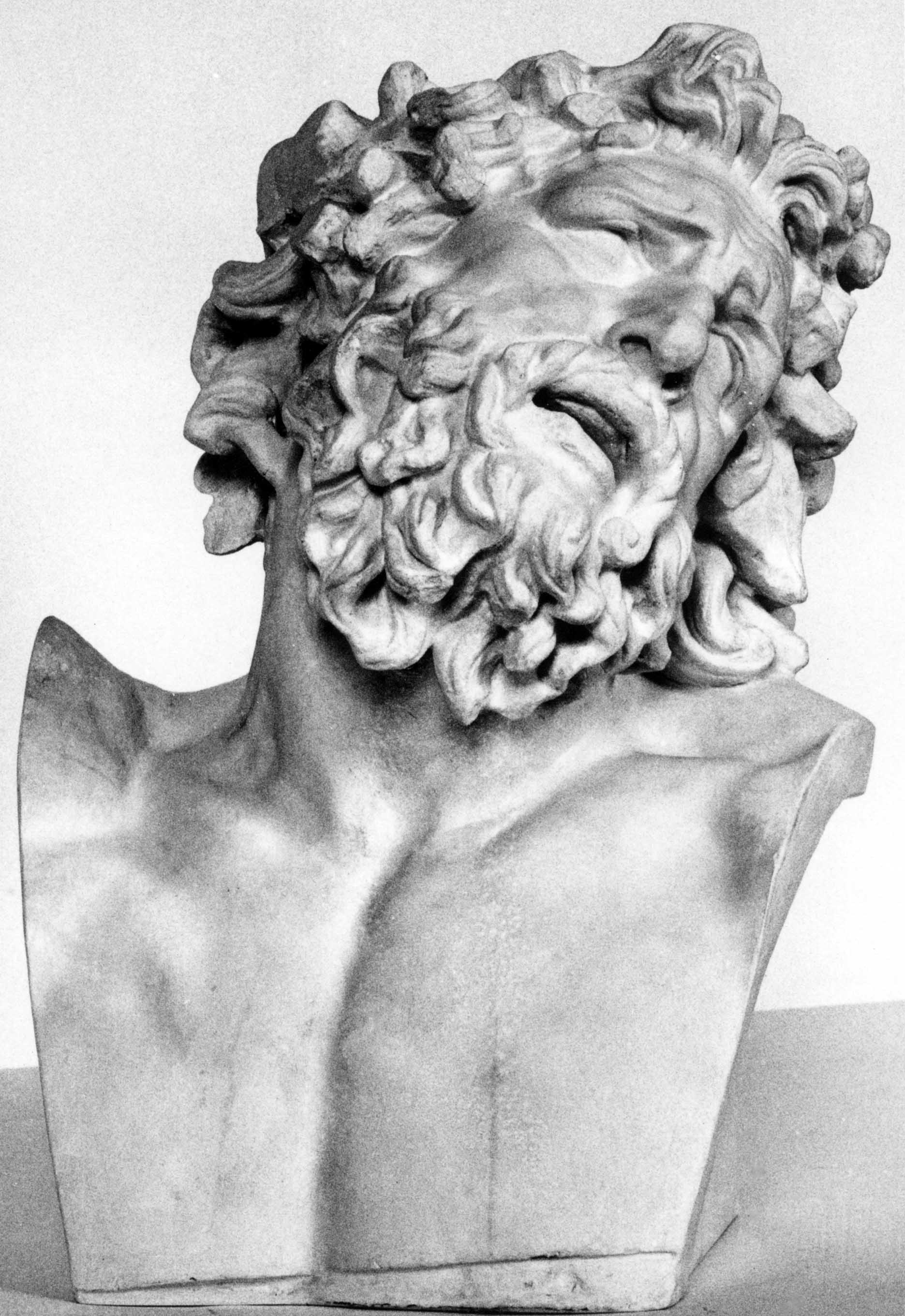 Bust of Laocoon (from R-00263)