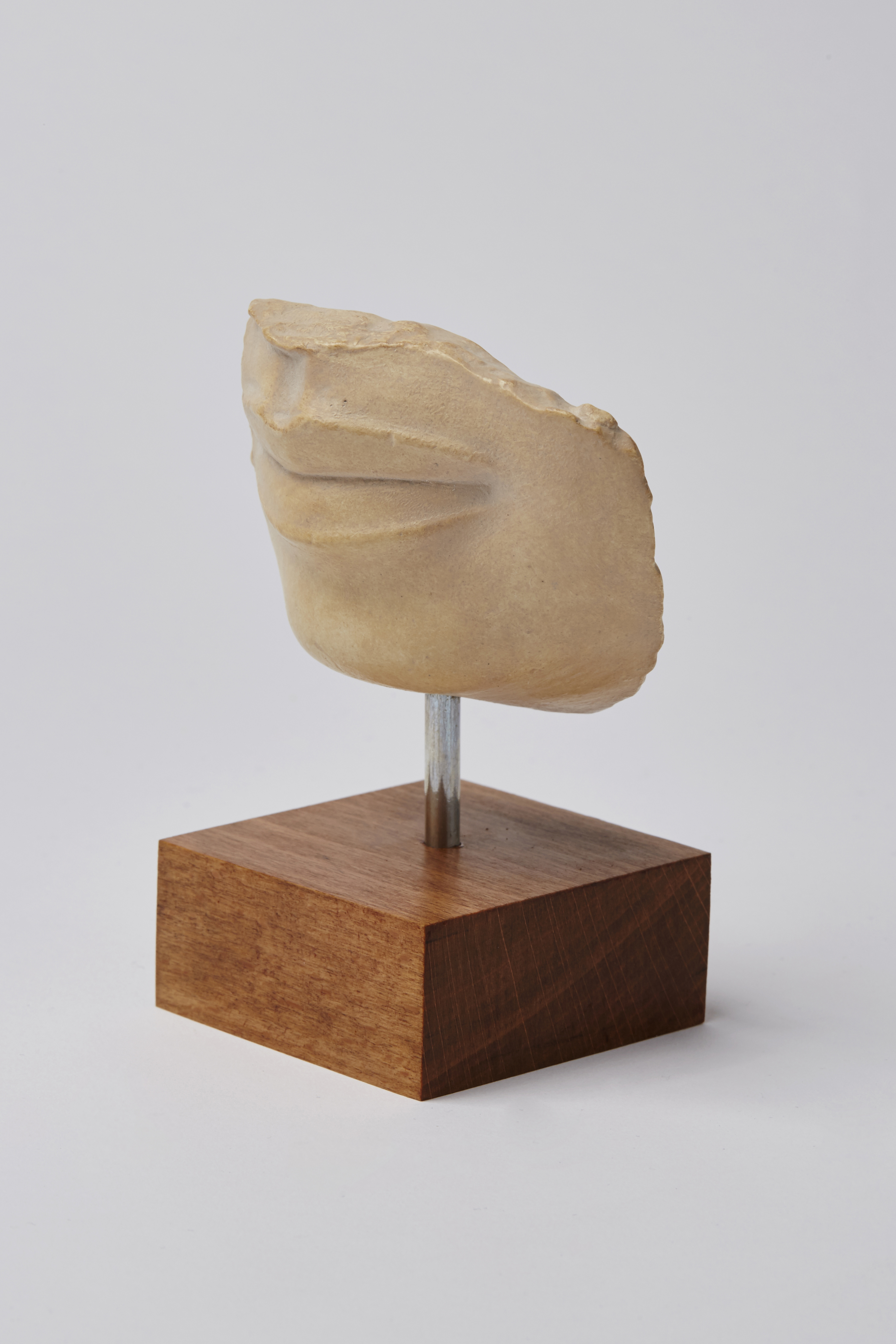 Mund mit Kinn, Fragment