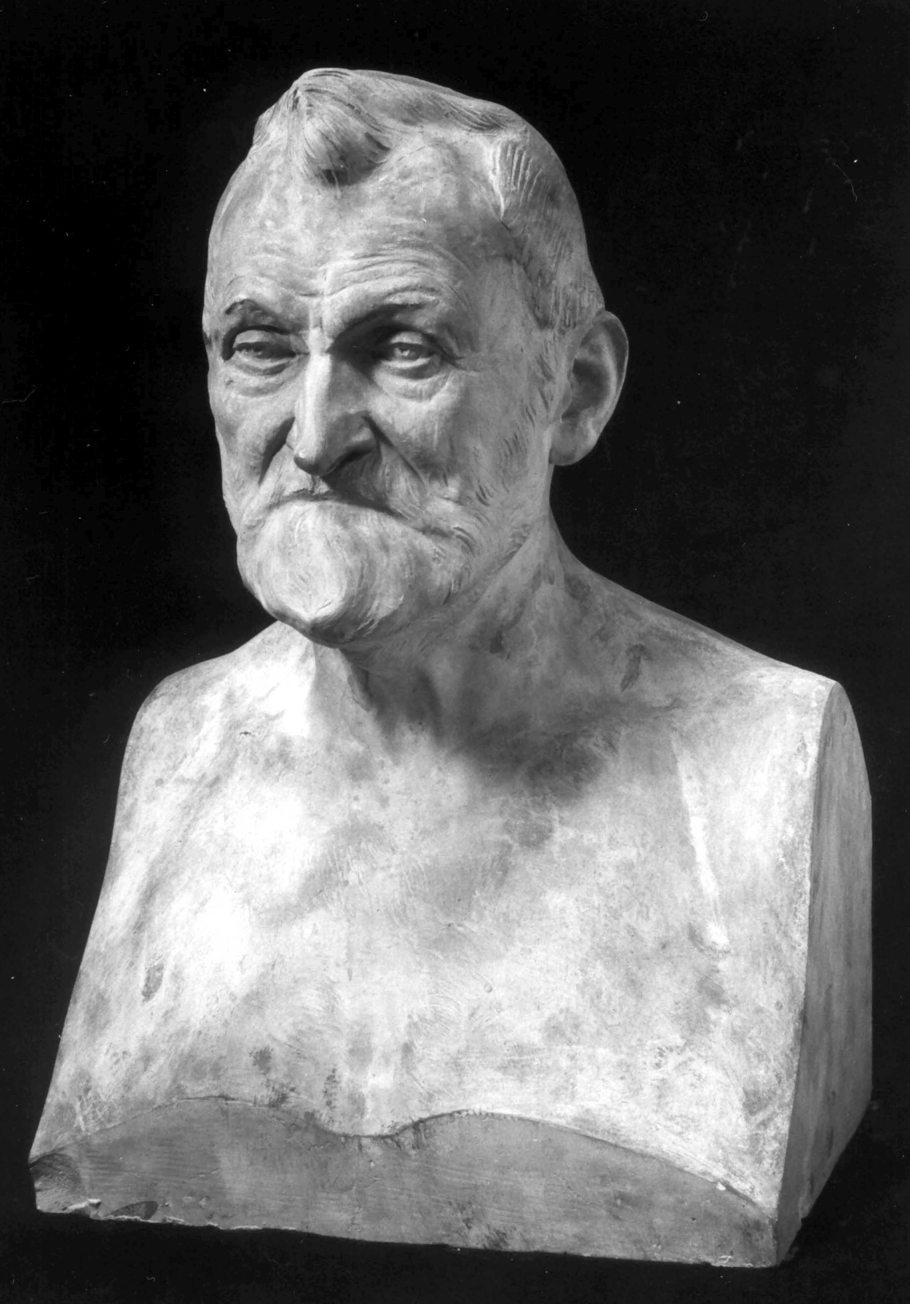 Male Bust