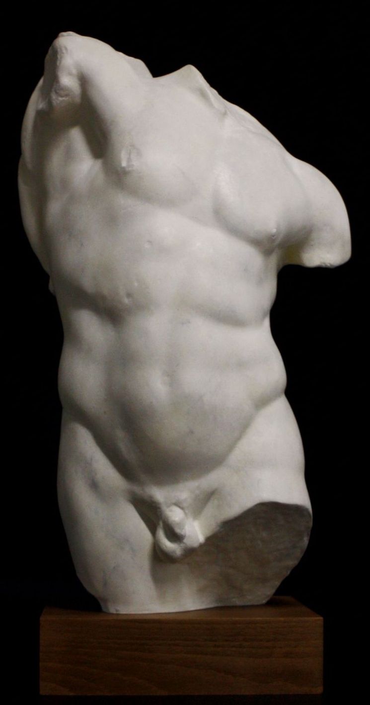 Torso of a Young Man