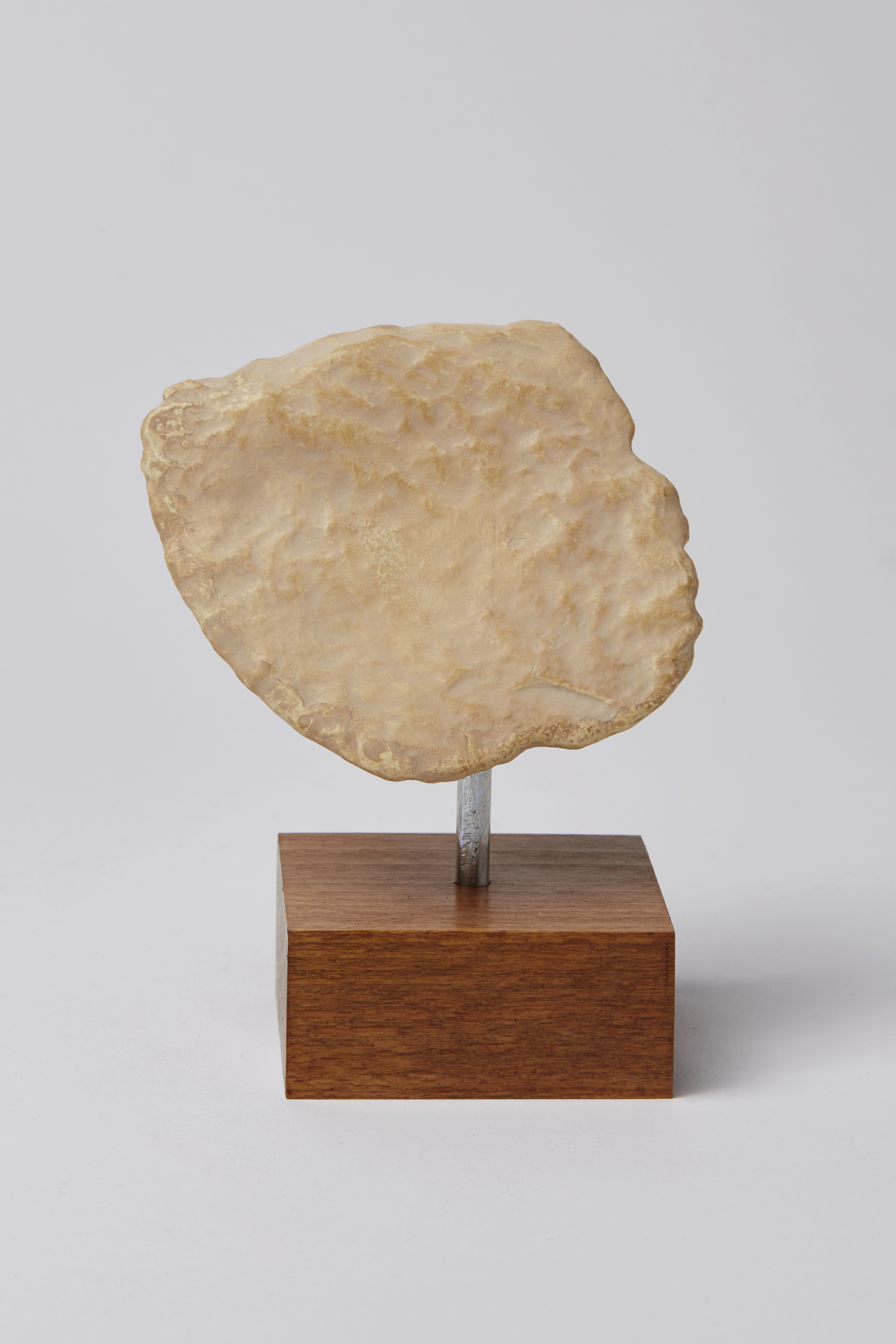 Mund mit Kinn, Fragment