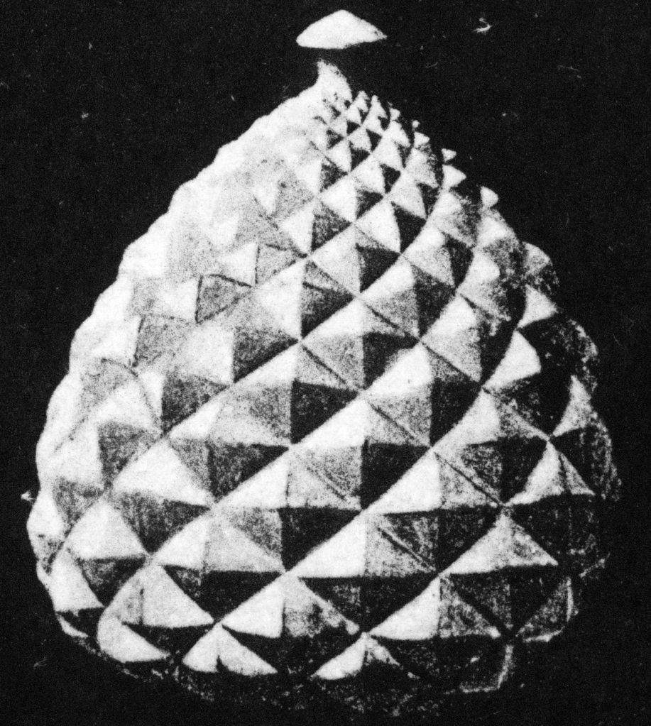 Pinienzapfen, modlliert (Unterrichtsvorlage)