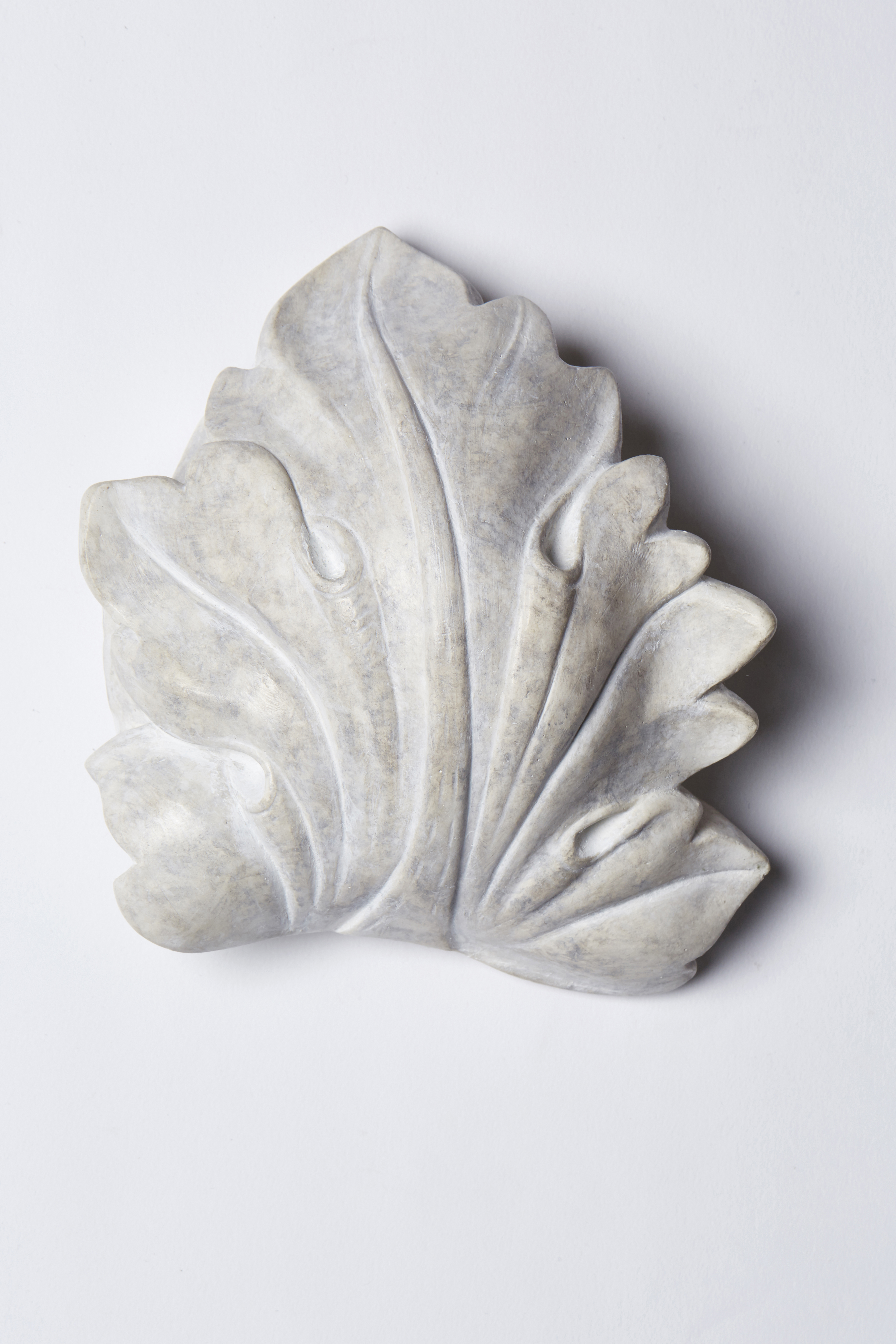 Akanthusblatt des Laokoon (von R-00263)