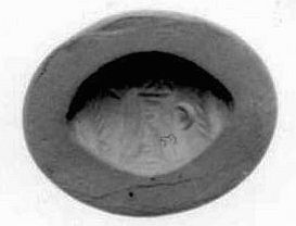 Building with Gable Roof, Stars and a Tree (gem)