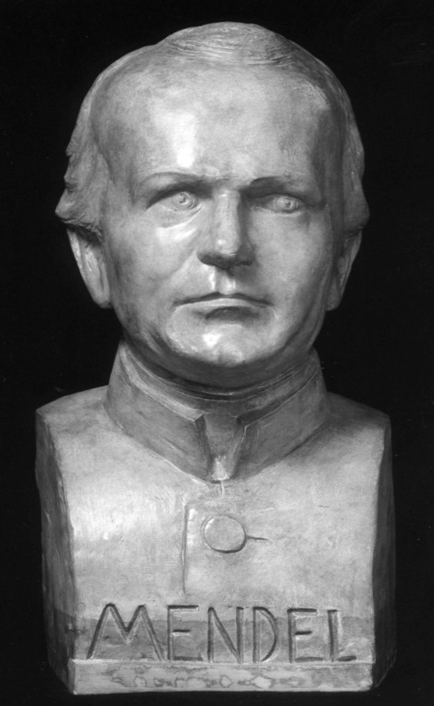Gregor Mendel