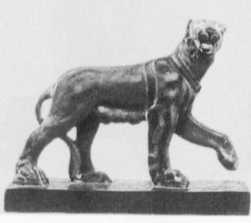 Female Panther